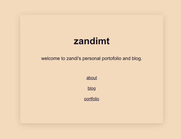 zandimt.com